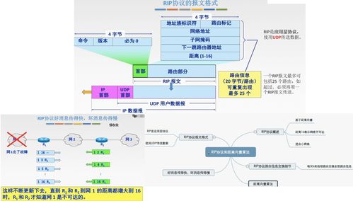 網絡層 計算機網絡平臺開發與建設的核心基石